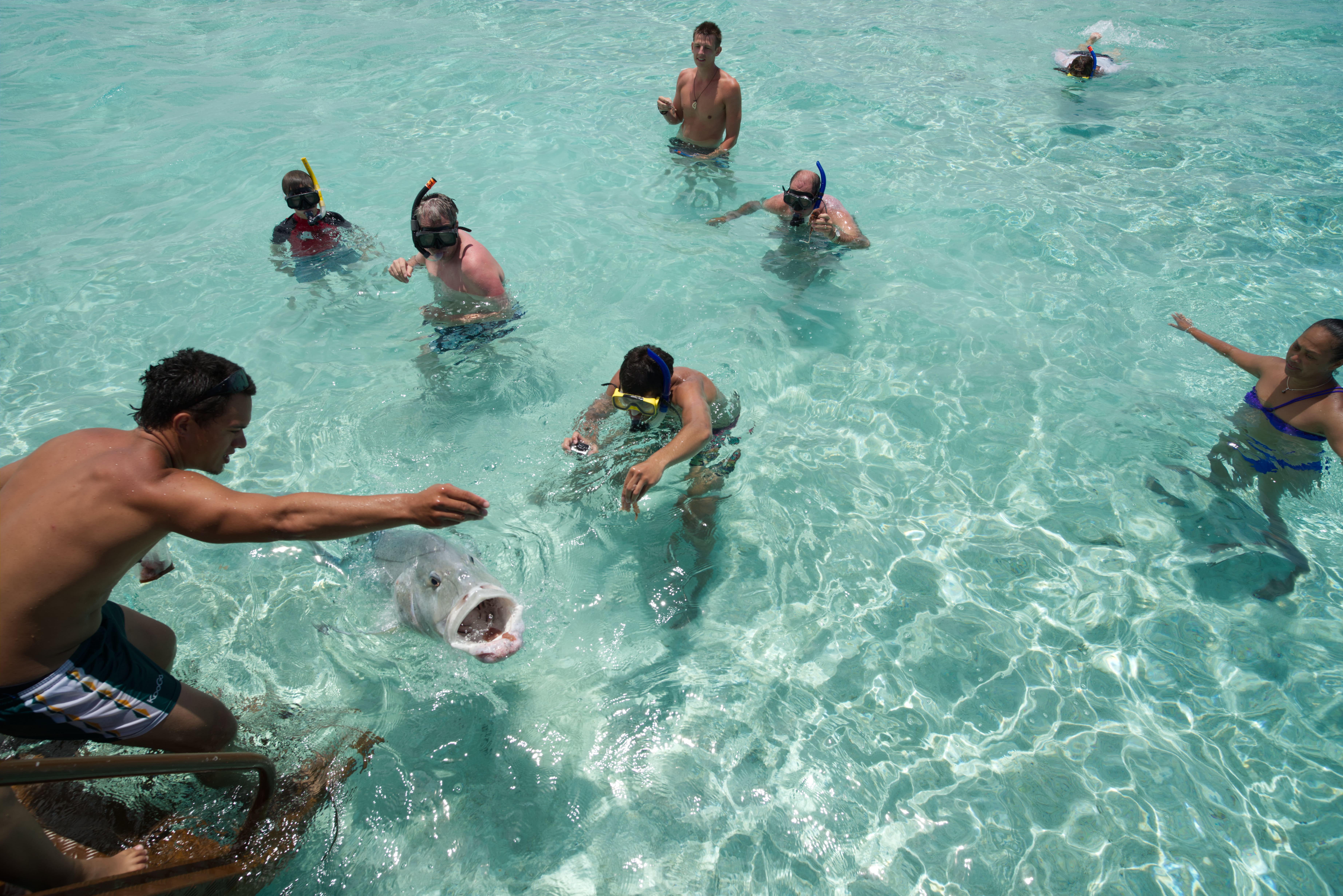 Day Tour to Aitutaki, by Ewan Smith