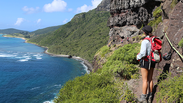 View from along the Mount Gower trek