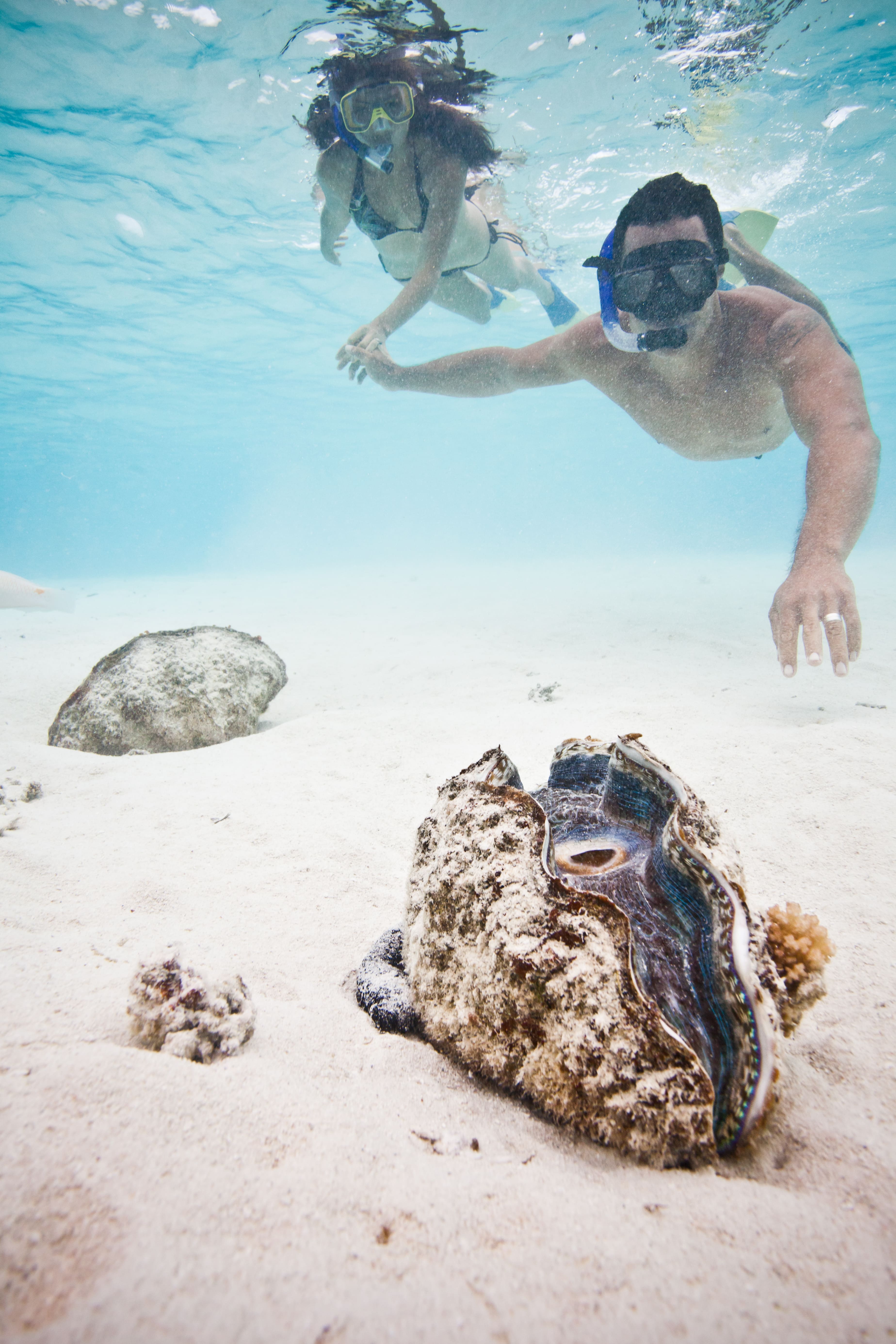 Snorkellers dive to a giant clam in the Aitutaki Lagoon