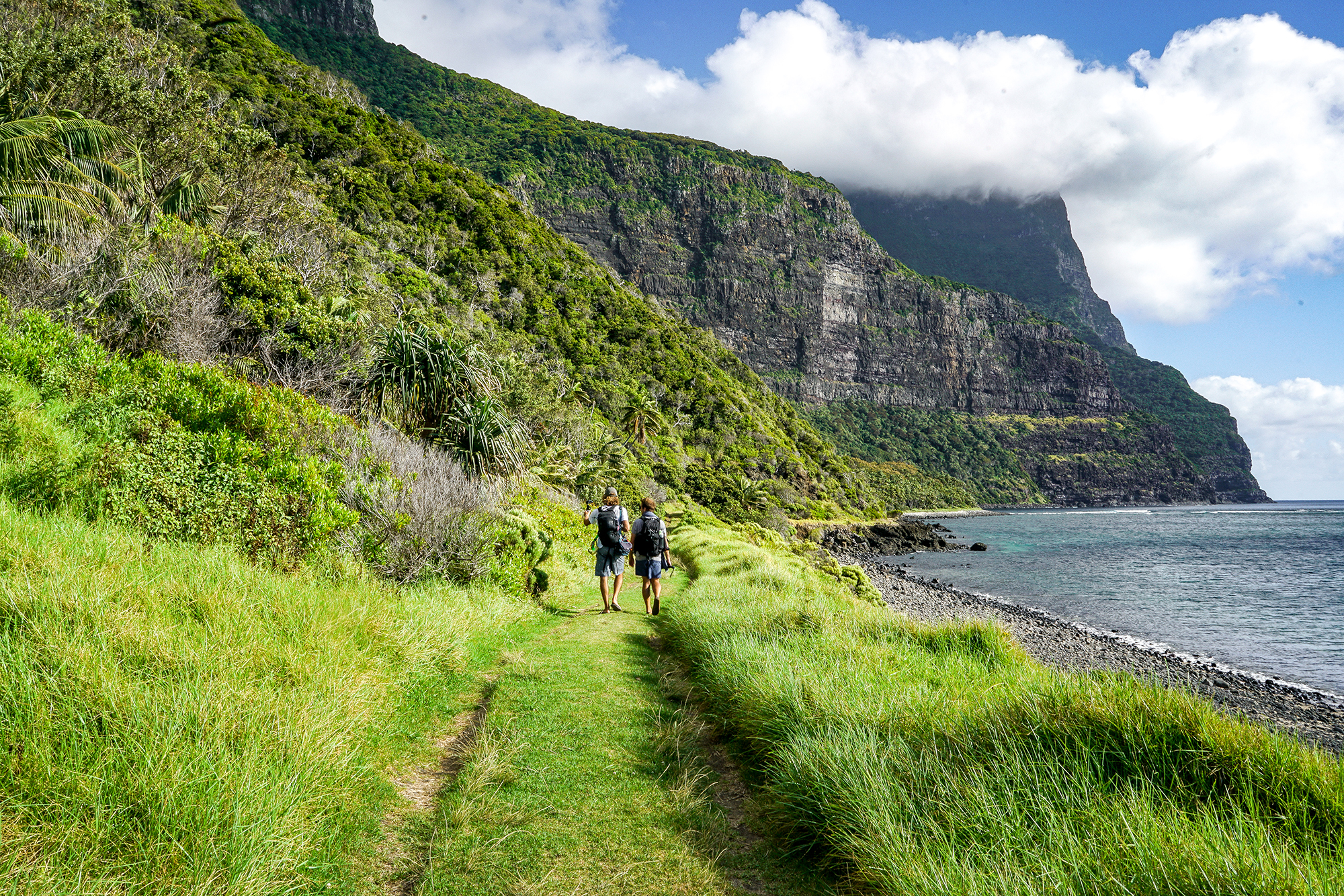 Two walkers on Little Island track